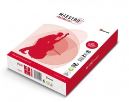 AKCE PALETA - Xerografický papír A4 Maestro Standard+ - 80 g, 500 listů